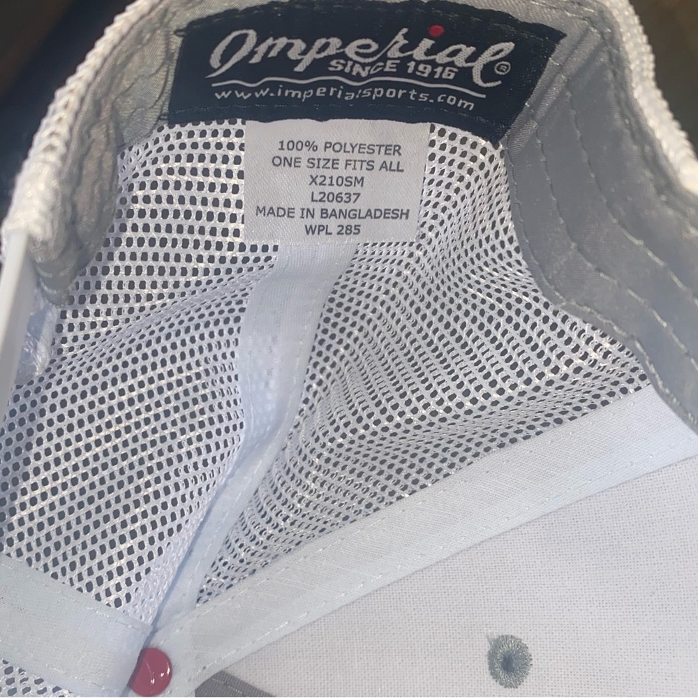 Imperial Hat “Hit Different” ⛳️ - Picture 8 of 8